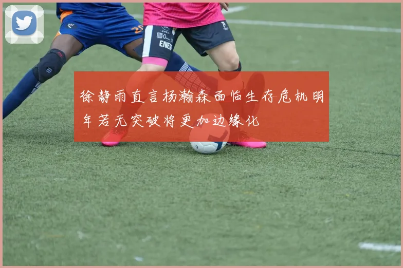 徐静雨直言杨瀚森面临生存危机明年若无突破将更加边缘化