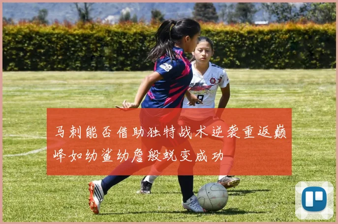 马刺能否借助独特战术逆袭重返巅峰如幼鲨幼詹般蜕变成功