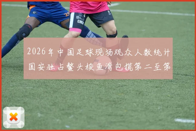 2026年中国足球现场观众人数统计国安独占鳌头梭鱼湾包揽第二至第七位